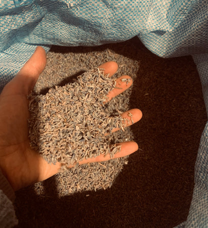 Lavandin - Lot de 10 Sachets Cœur - Toile de Jute - 10 g par sachet - Marron et Blanc